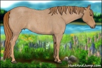 Horse Color:Red Roan 