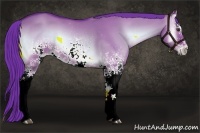 Horse Color:Watercolor White Spotted Liver Red Dun Onyx