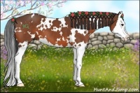 Horse Color:White Spotted Bay Splash