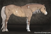 Horse Color:Chocolate Silver Buckskin Ice Sabino 