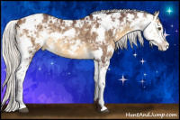 Horse Color:Chocolate Silver Buckskin Dun Sabino