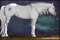Horse Color:Silver Smoky Grullo Chinchilla Tobiano 