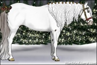 Horse Color:Liver Chestnut Near Fewspot 