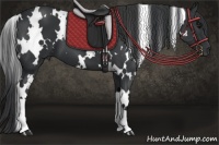 Horse Color:White Spotted Black 