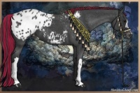 Horse Color:Painted Blue Roan Appaloosa