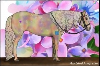 Horse Color:Nacre Palomino Sabino 