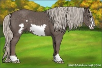 Horse Color:Silver Black Frame