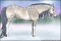 Horse Color:Watercolor White Spotted Bay Ice Onyx 