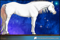 Horse Color:Nacre Bay Dun Tobiano Blanket