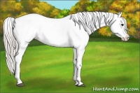 Horse Color:Silver Brown Ice Frame Appaloosa 