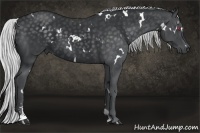 Horse Color:White Spotted Silver Smoky Black Chinchilla Sabino