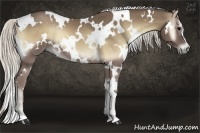 Horse Color:White Spotted Silver Smoky Blue Onyx 