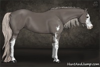 Horse Color:Silver Black Sabino 