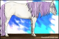 Horse Color:Painted Silver Amber Cream Champagne Roan Pearl Dun