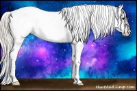 Horse Color:Silver Bay Splash Appaloosa