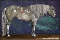 Horse Color:White Spotted Grullo Sabino  and White Spotted Silver Grullo 