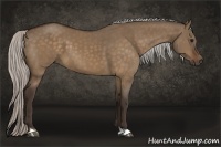 Horse Color:Silver Bay Dun 