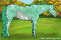 Horse Color:Watercolor Brown Ice 