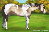 Horse Color:Liver Red Onyx Ice Splash Tobiano 