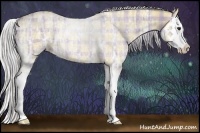 Horse Color:Plaid  White Spotted Silver Bay Ice Dun Splash 