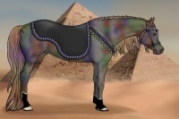 Horse Color:Nacre Liver Chestnut 