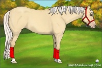 Horse Color:Silver Amber Champagne Roan Dun