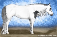 Horse Color:Black Splash Tobiano Frame 
