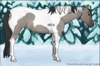 Horse Color:Smoky Grullo Roan Tobiano 