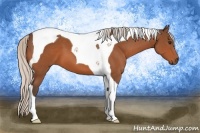 Horse Color:Silver Bay Tobiano