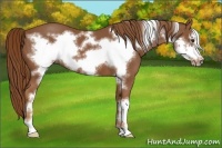 Horse Color:Chestnut Frame