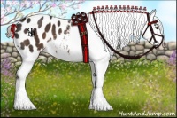 Horse Color:Liver Chestnut Sabino Appaloosa 