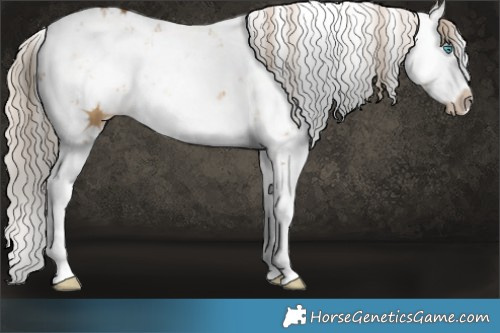 Horse Color:Chocolate Palomino Dun Sabino Splash 