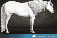 Horse Color:Chocolate Palomino Dun Sabino Splash 