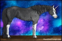 Horse Color:Black Splash