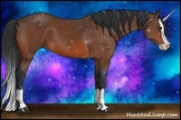 Horse Color:Bay Splash 