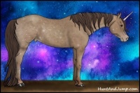 Horse Color:Classic Champagne 