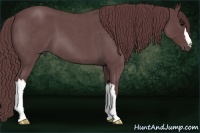 Horse Color:Chocolate Blue Roan 
