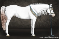 Horse Color:Amber Champagne Appaloosa and Amber Champagne Appaloosa