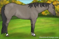 Horse Color:Smoky Grullo Rabicano