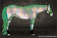 Horse Color:Watercolor Plaid  Bay Onyx Rabicano 