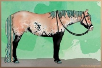 Horse Color:Painted Watercolor White Spotted Liver Chestnut Pearl Splash Rabicano 