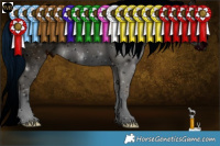 Horse Color:ERROR: UNKNOWN ANOMALY
