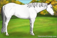 Horse Color:Bay Splash Tobiano