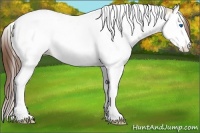 Horse Color:Bay Ice Dun Sabino Splash Tobiano Varnish 
