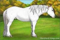 Horse Color:Plaid  Bay Dun Sabino Splash Tobiano 
