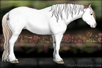 Horse Color:Plaid  Chestnut Splash Tobiano Rabicano 
