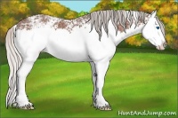 Horse Color:White Spotted Silver Bay Ice Splash