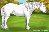 Horse Color:Silver Black Ice Splash Tobiano Appaloosa 