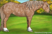 Horse Color:Chestnut Ice 
