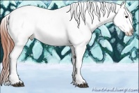 Horse Color:Bay Sabino Tobiano Appaloosa 